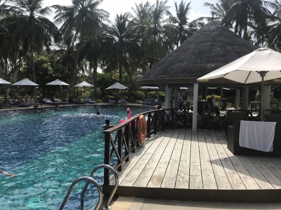 Pool Bandos Maldives