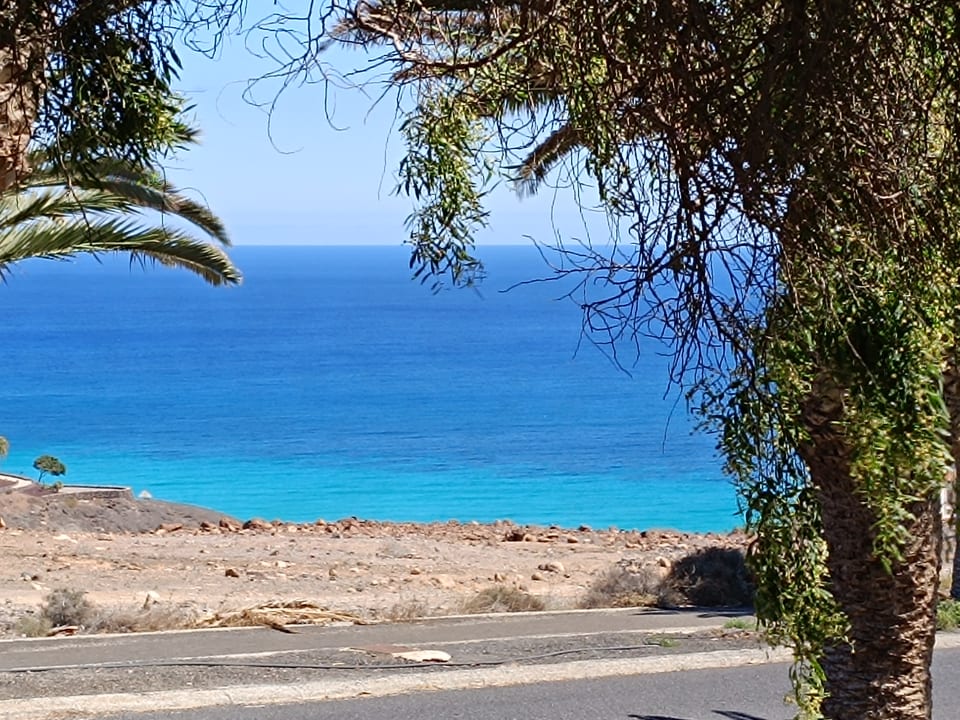 Ausblick allsun App.-Hotel Esquinzo Beach