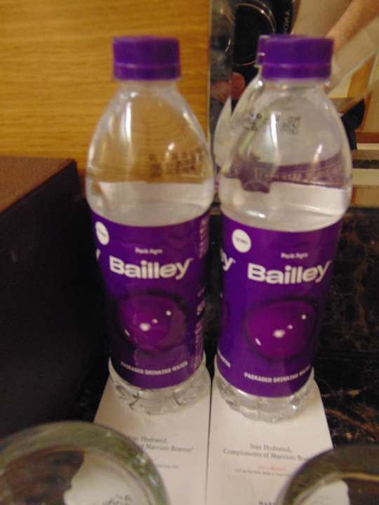 Zimmer Hotel The Westin Chennai Velachery