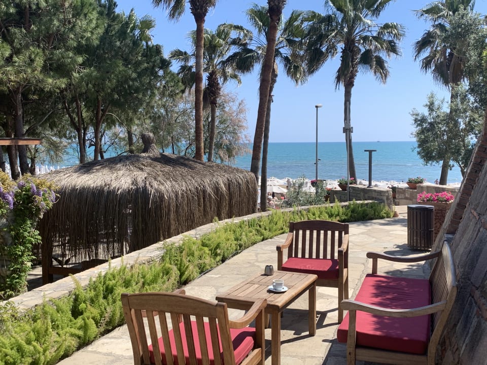 Gastro Arum Barut Collection