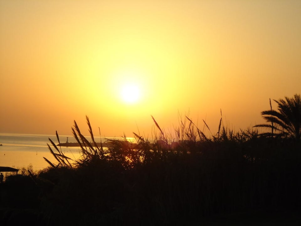 Sonnenuntergang Napa Mermaid Hotel & Suites