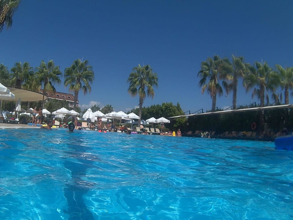 Pool Hane Family Resort