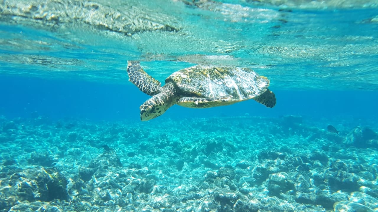 Sport & Freizeit Machchafushi Island Resort & Spa Maldives, The Centara Collection