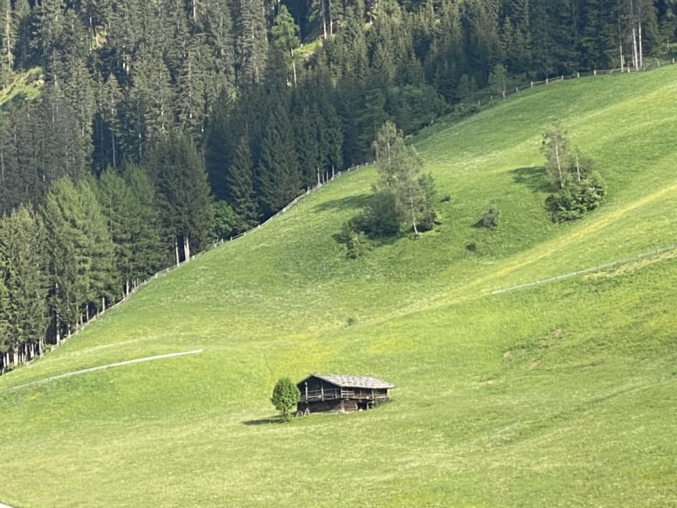Ausblick Berghotel Ratschings