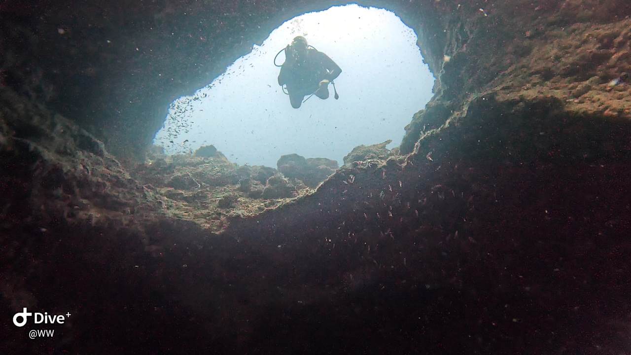 Sport & Freizeit Cebu Seaview Dive Resort