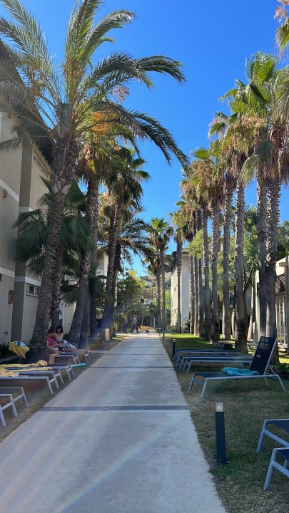 Gartenanlage allsun Hotel Eden Playa