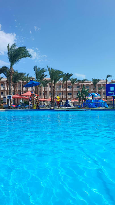 Pool Pickalbatros Palace Resort