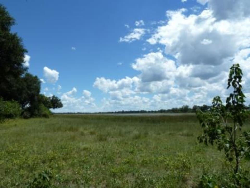 Ausblick von der Terrasse Zelt Nr. 8 Hotel Kwara Camp