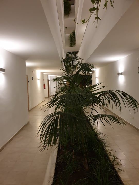 Sonstiges Zafiro Bahia