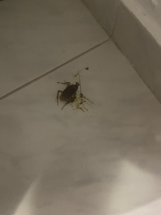 Zimmer Olympos Beach Hotel