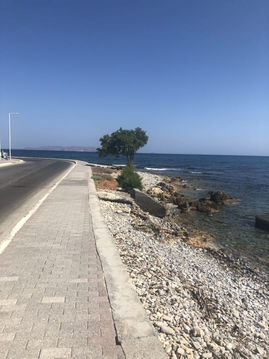 Ausblick Diogenis Blue Palace