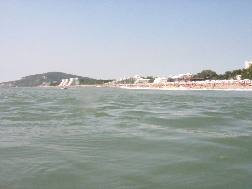 Beim  schwimmen fotogrfiert Hotel Althea