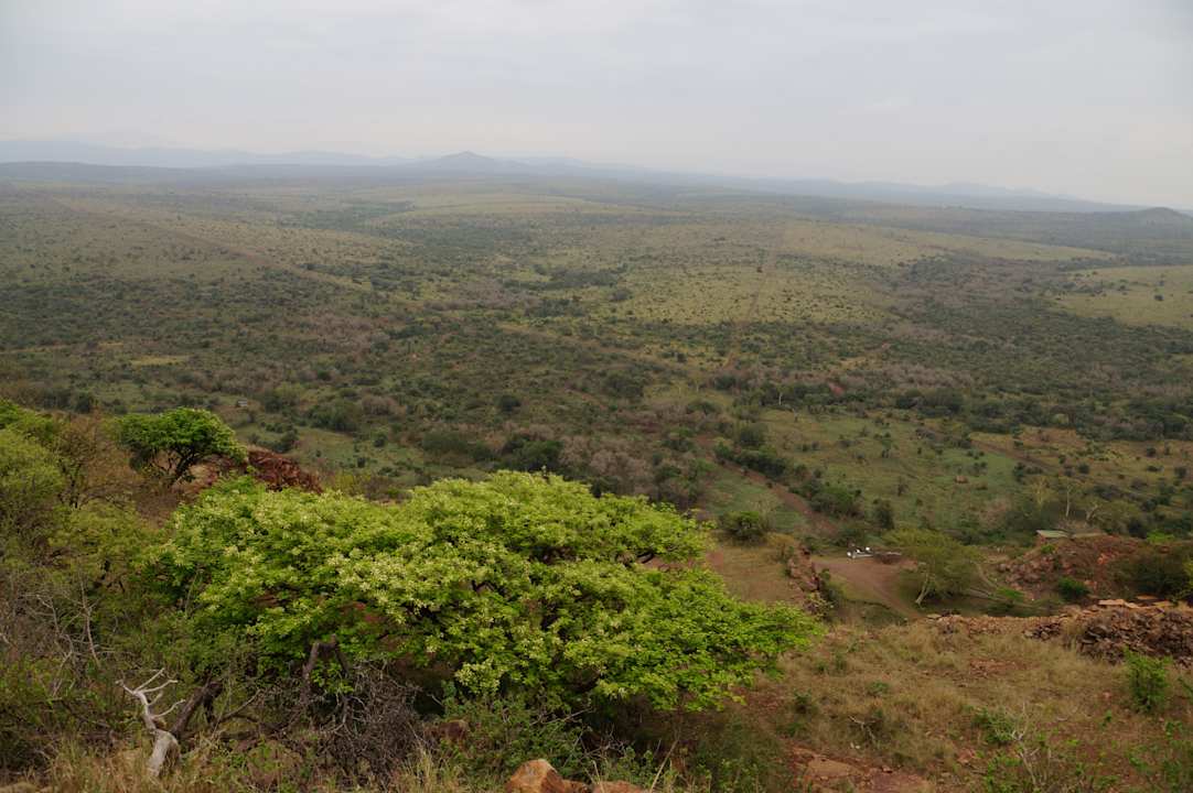 Ausblick Hotel Zulu Nyala Game Lodge
