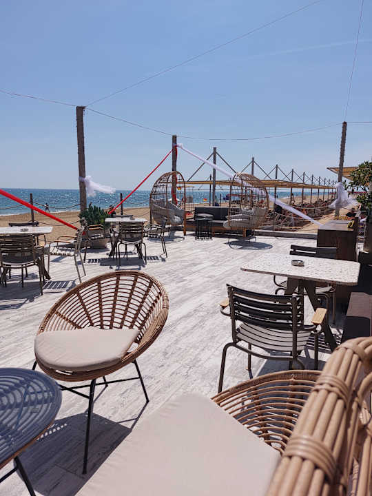 Strand Seashell Vega