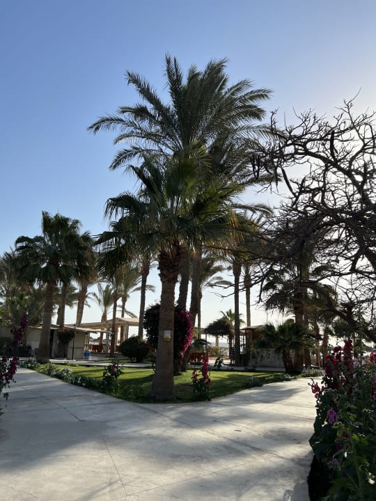 Gartenanlage Brayka Bay Resort