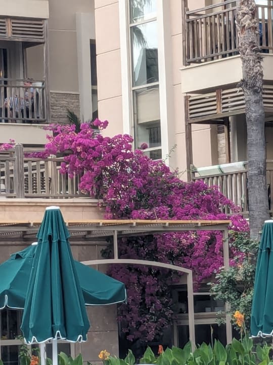 Außenansicht Can Garden Resort