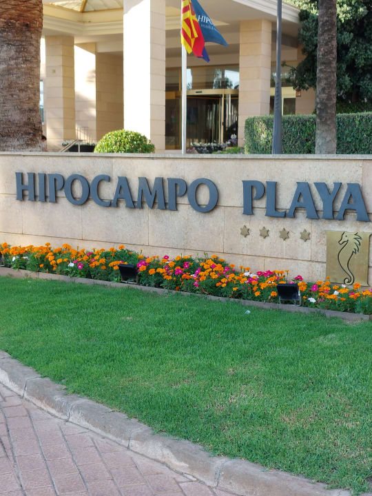 Sonstiges Hipotels Hipocampo Playa