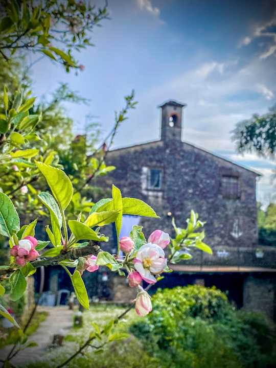 Außenansicht Antico Frantoio Pietrasanta B&B