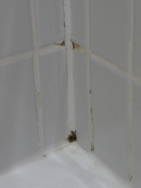 Schimmel im Bad Jumeirah Beach Hotel