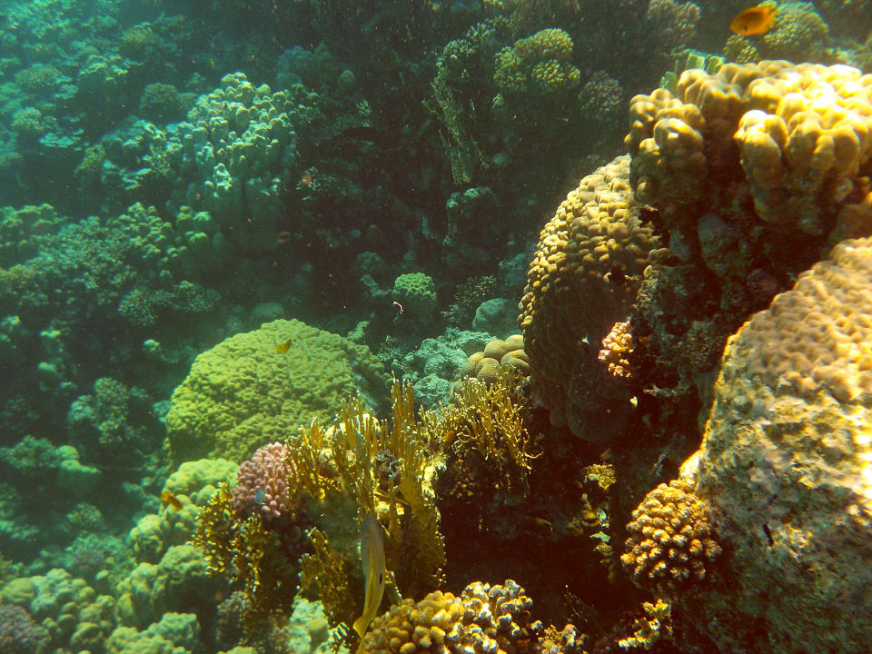 Sport & Freizeit Grand Makadi