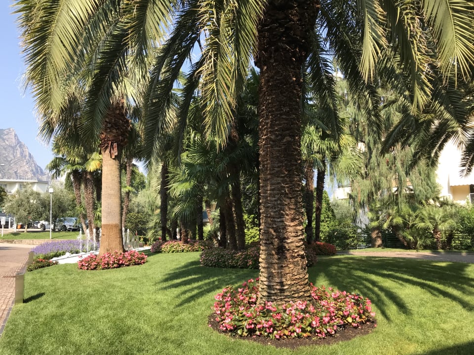 Gartenanlage Hotel Ideal