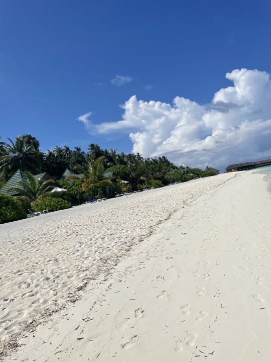 Strand Meeru Maldives Resort Island