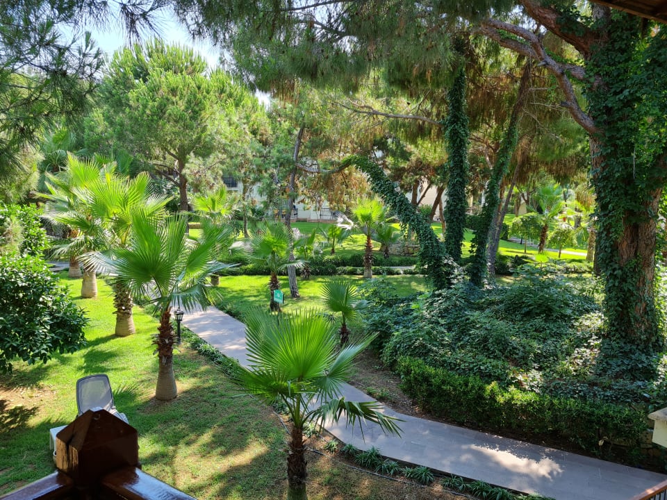 Ausblick Papillon Belvil