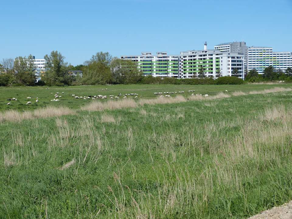 Außenansicht Ostseehotel Midgard in Damp