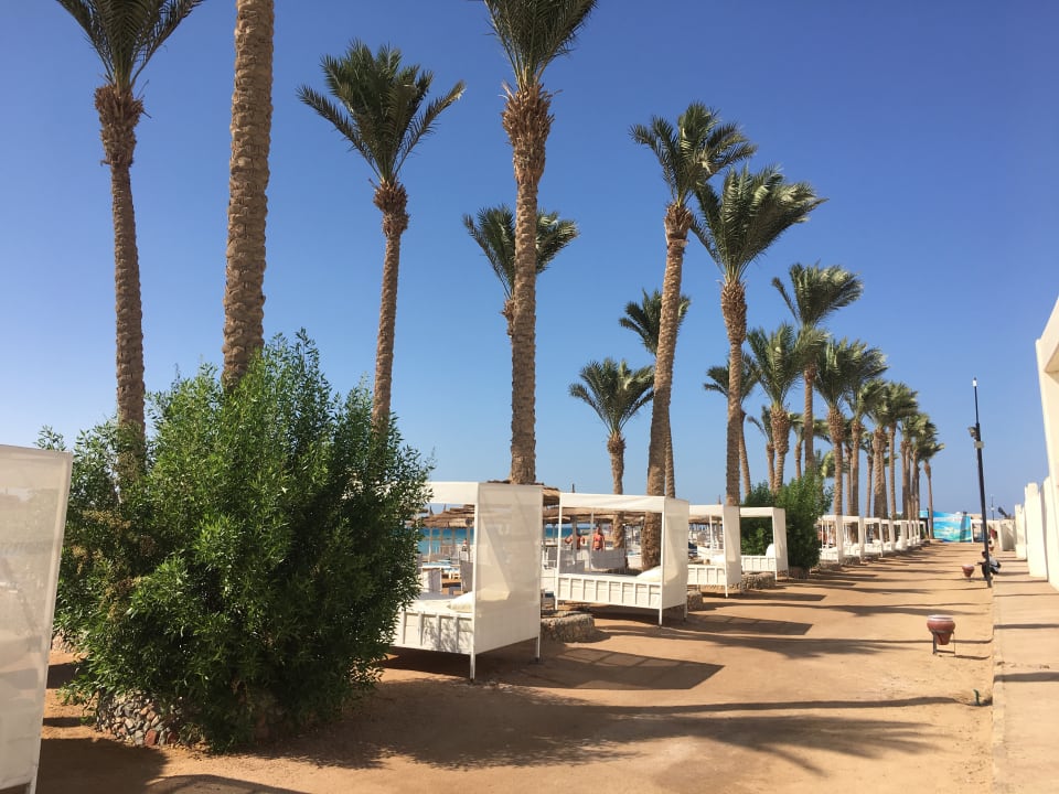 Strand Pickalbatros Alf Leila Wa Leila Resort - Neverland Hurghada