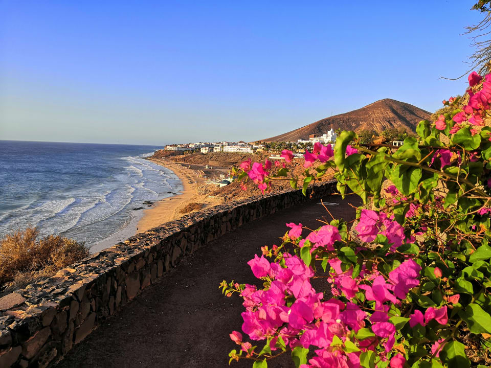 Ausblick TUI MAGIC LIFE Fuerteventura