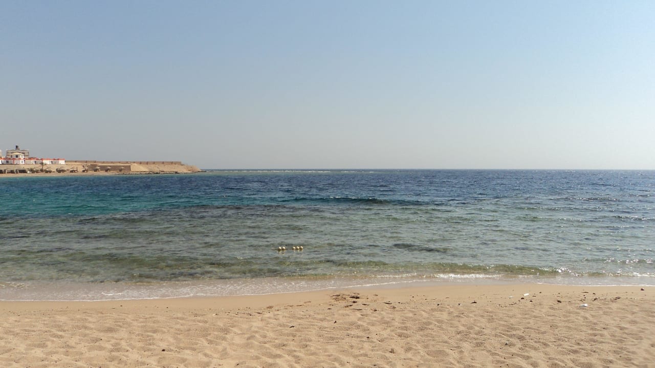 Korallenriff Coral Sun Beach