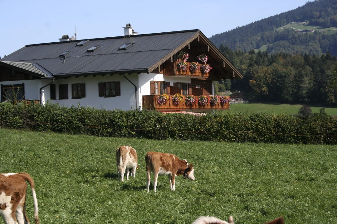 Natur pur Haus Michael