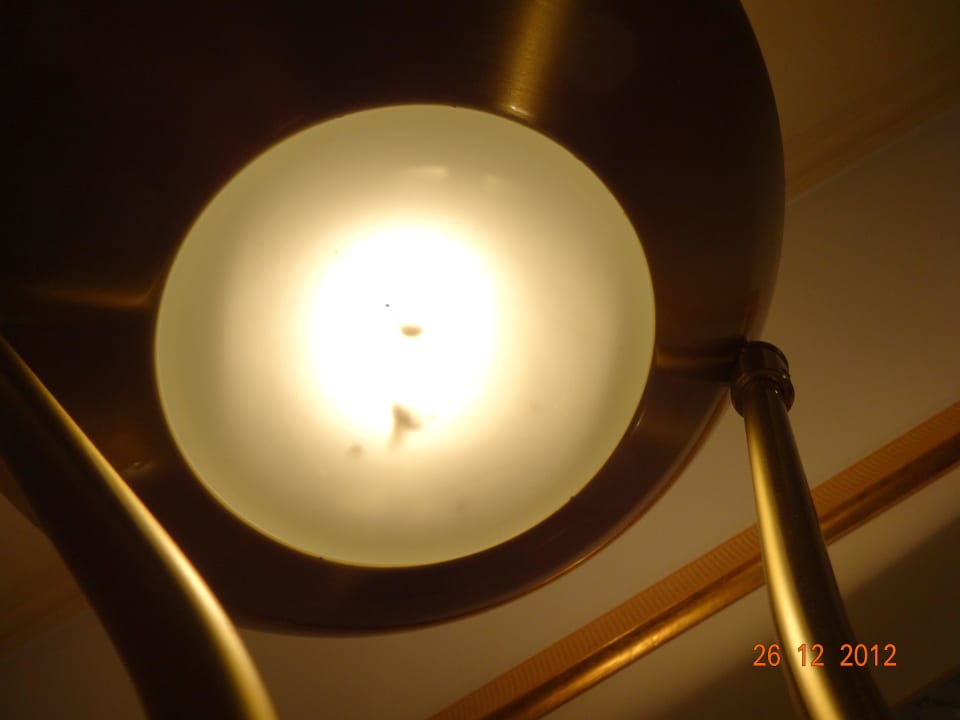 Fliegen in der Stehlampe Verwöhnhotel Kristall