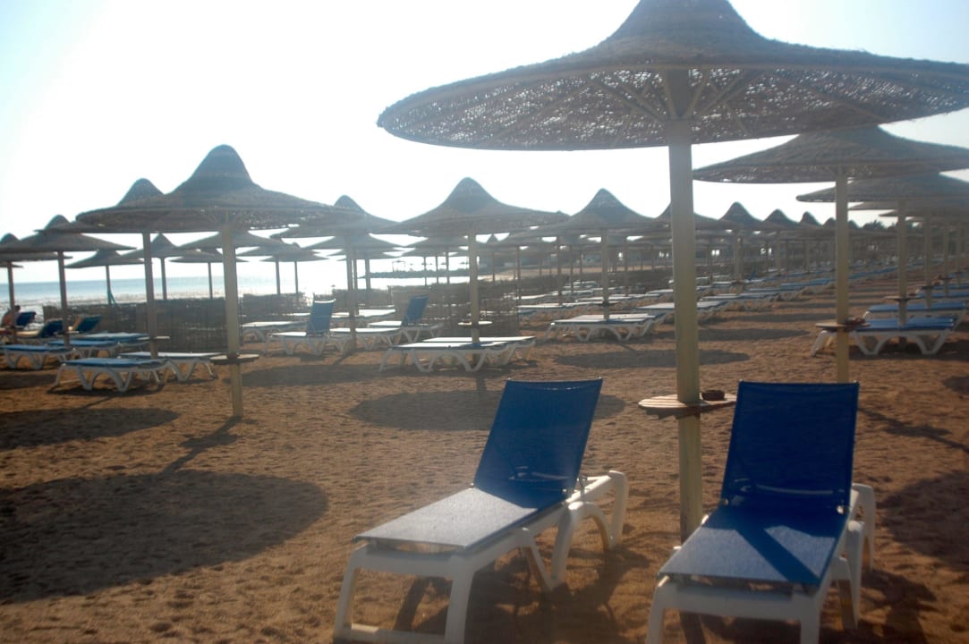 Liegen am Strand Stella Beach Resort & Spa Makadi Bay