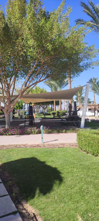 Sport & Freizeit Desert Rose