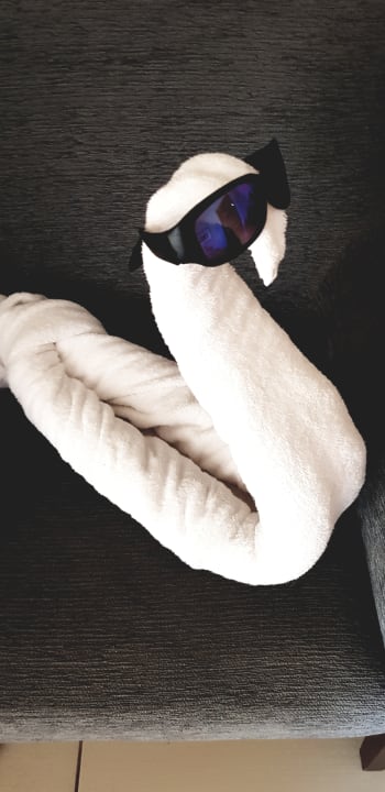 Zimmer Jaz Bluemarine