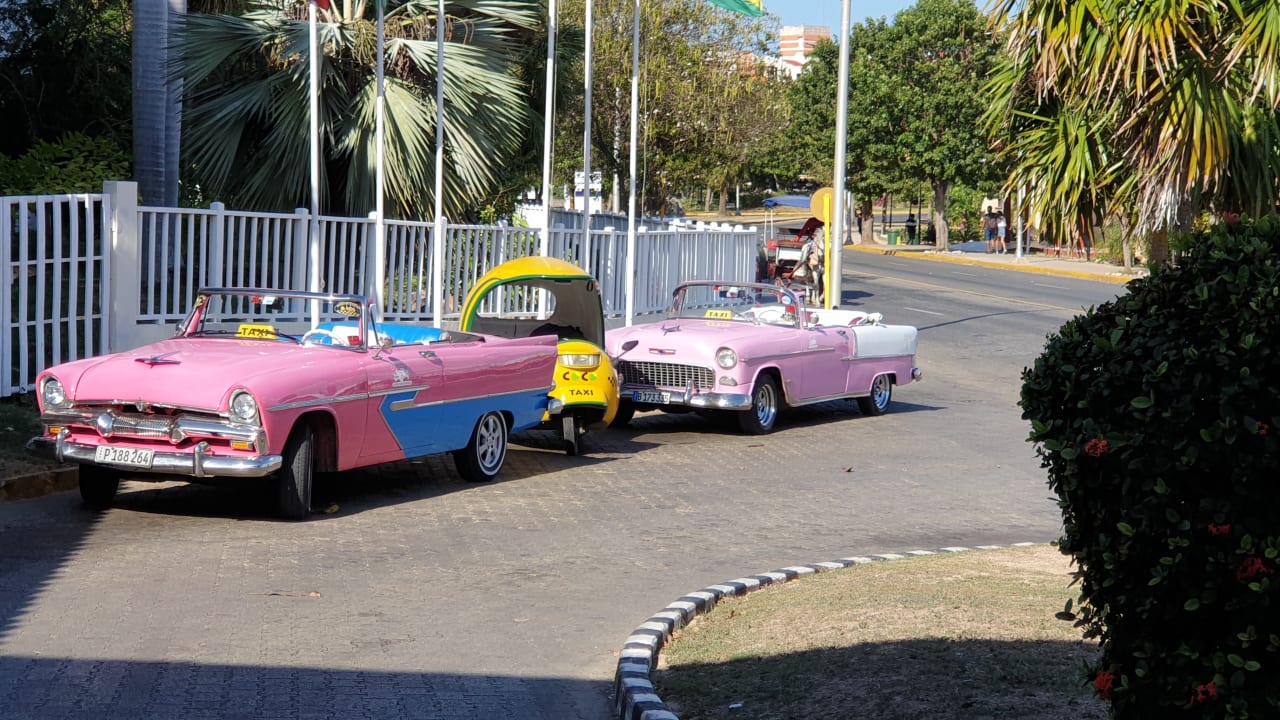 Ausblick Starfish Cuatro Palmas