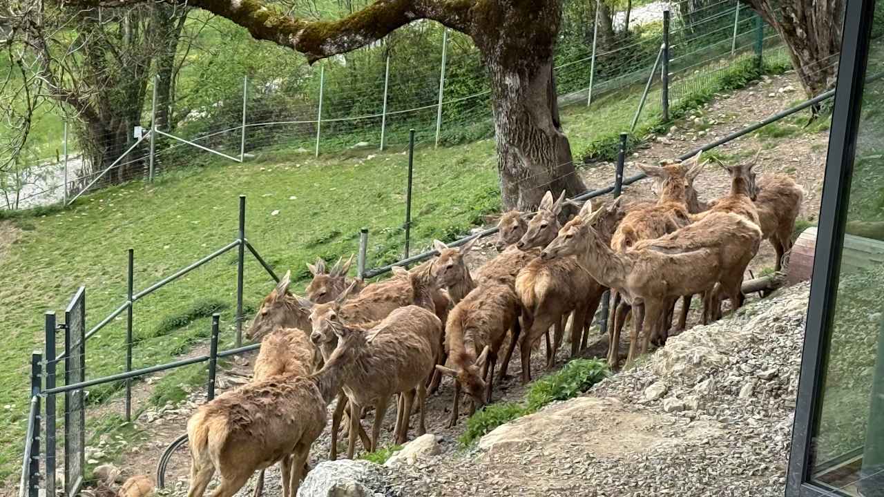 Außenansicht Bergkristall - Mein Resort im Allgäu
