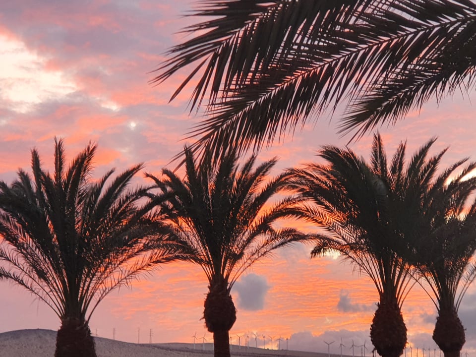 Ausblick SBH Costa Calma Beach Resort