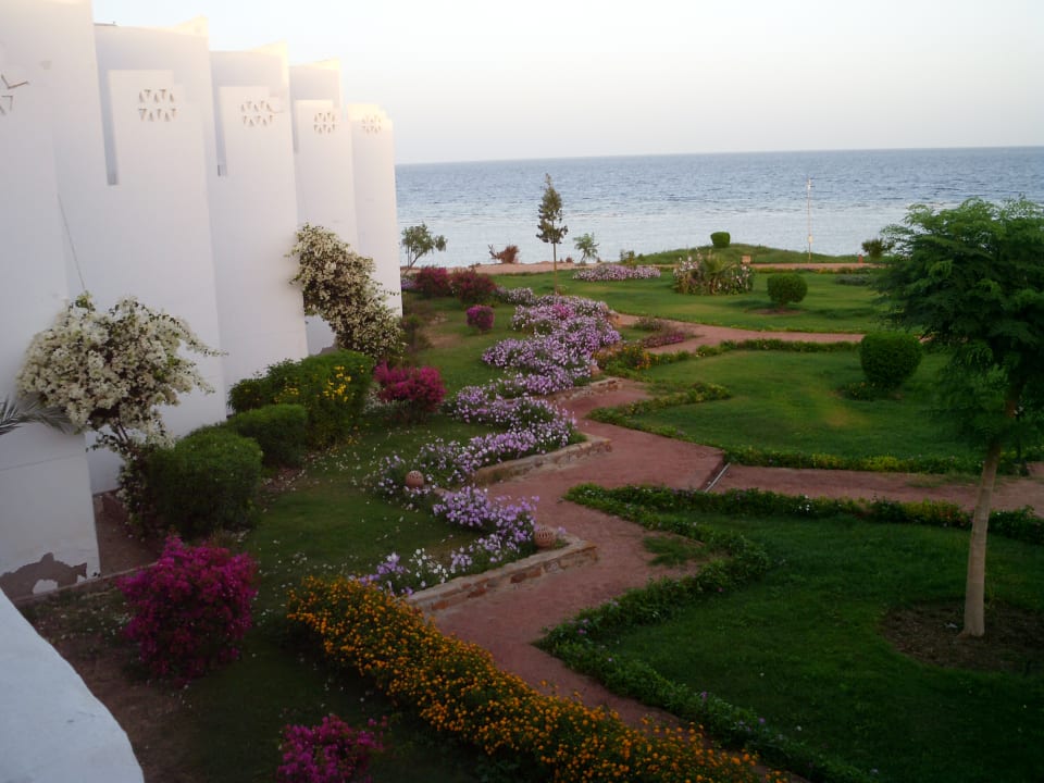 Zimmer Three Corners Equinox Beach Resort