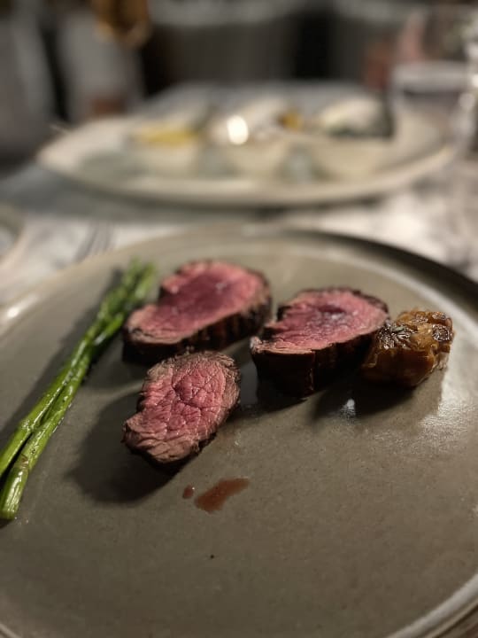 Gastro Acanthus Cennet Barut Collection