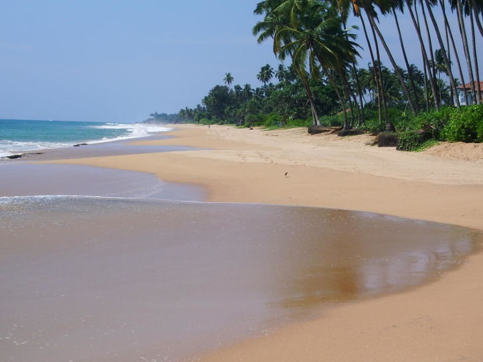 Возле отеля Hotel Garden Beach
