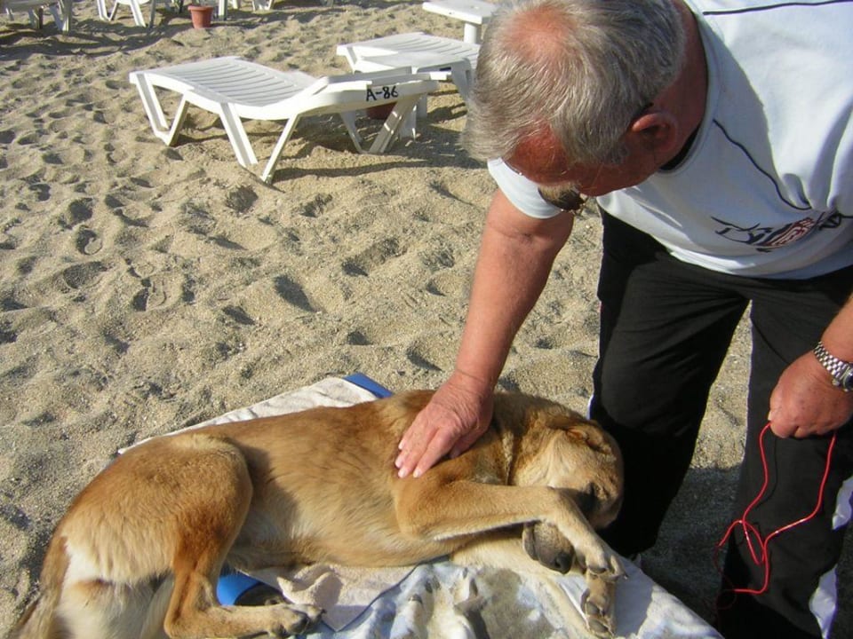 Schmusestunde am Strand Gardenia Hotel
