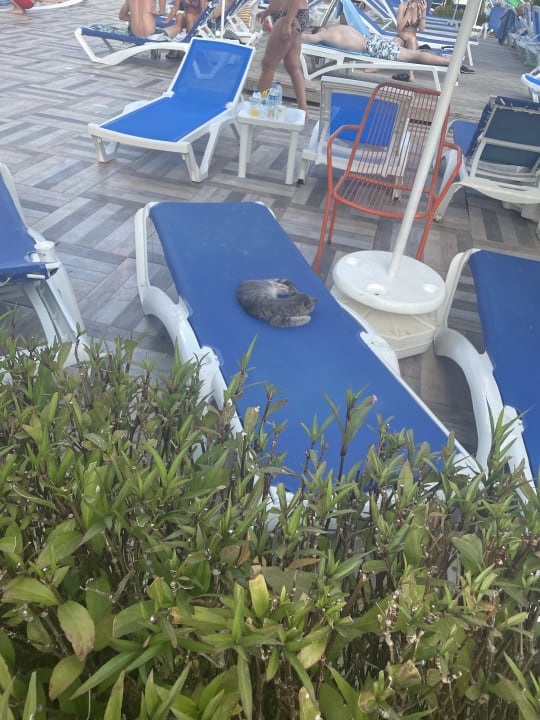 Pool Numa Bay Exclusive Hotel