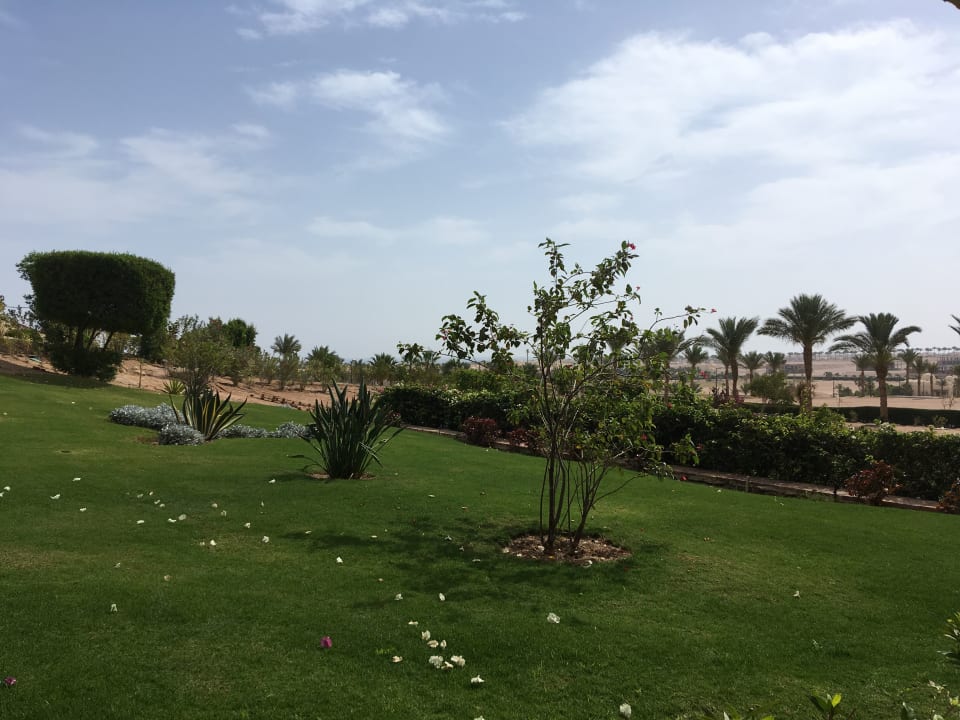 Gartenanlage Steigenberger Makadi Hotel - Adults only