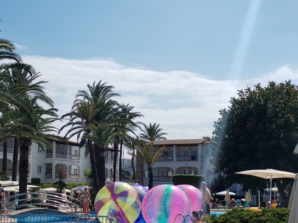 Pool Alcudia Garden Aparthotel