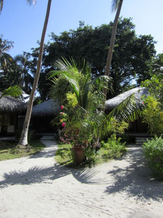 Beach Bungalows  Kuramathi Maldives