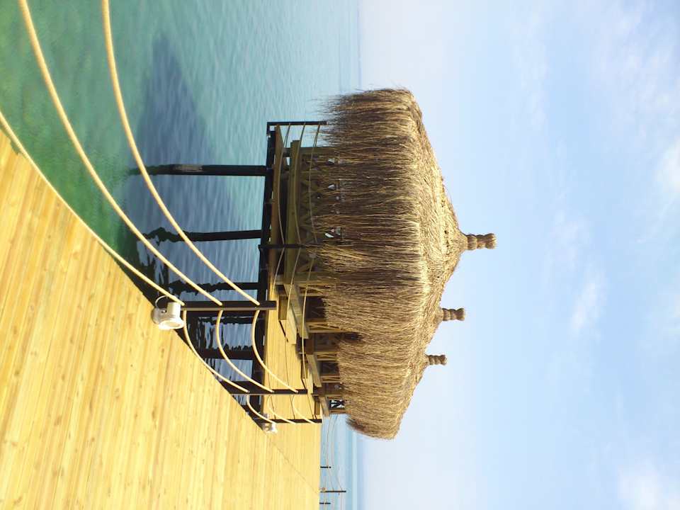 Steg Crystal Flora Pearl Collection