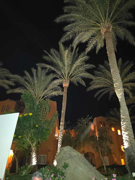 Gartenanlage Jaz Makadi Oasis Resort