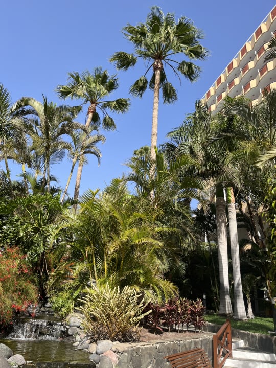 Gartenanlage allsun Hotel Lucana